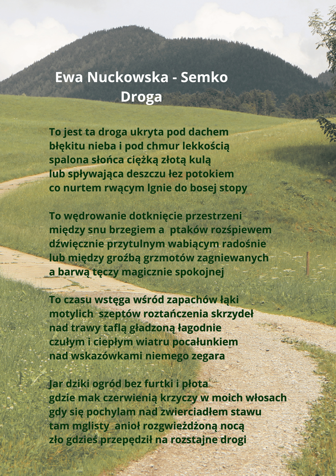 Nuckowska-Semko_Ewa.png