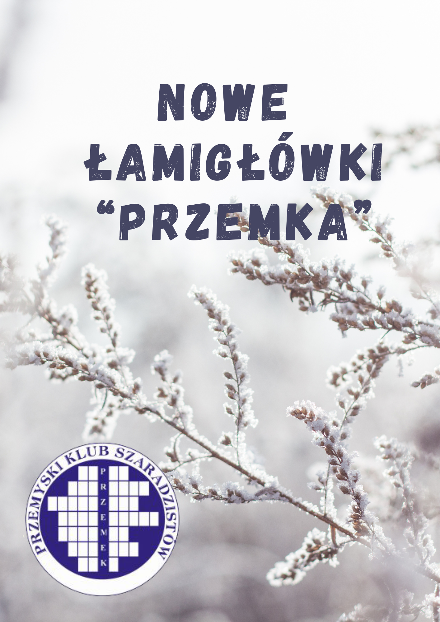 plakat_Nowe_łamigłówki.png