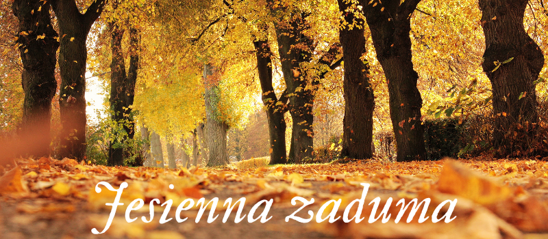 Jesienna_zaduma.png