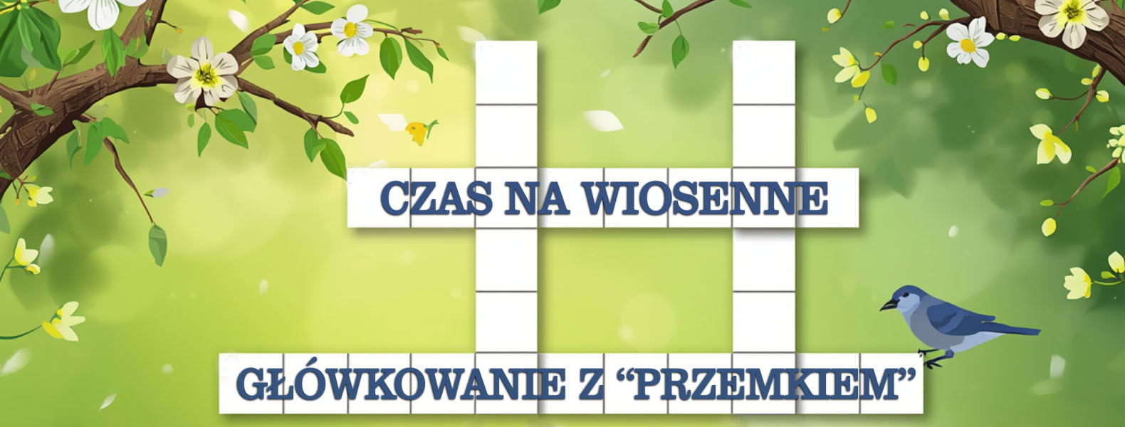 baner kręcioł