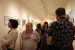 img 8298
