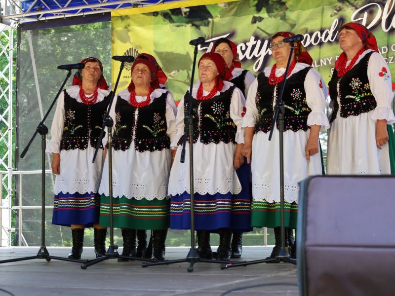 zs stokrotki z cewkowa zdj. archiwum ck
