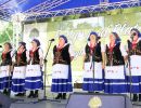zespol dzikowianie ze starego dzikowa  pow. lubaczowski